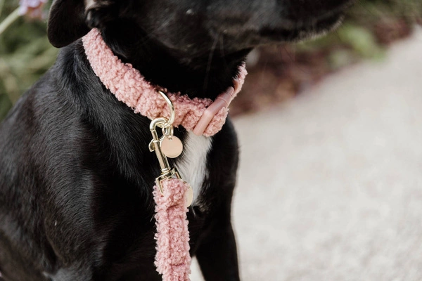 Obroża Kentucky Teddy Fleece - różowa