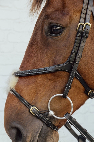 Skórzany pleciony nachrapnik meksykański Dy'on D Collection - czarny