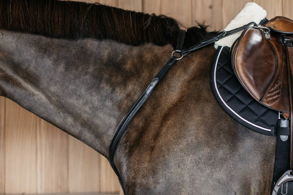 Skórzano-elastyczny napierśnik z plecionką Dy'on Bridge Breastplate New English