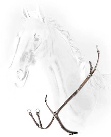 Napierśnik Equiline Elastic z wytokiem BJ101 - brązowy