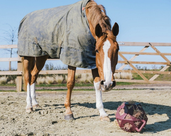 Kentucky elastyczna piłka na siano Relax Horse Play & Hay Ball - bordowa