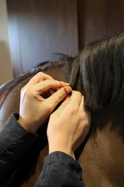 Gumki do grzywy czarne 1500 szt. - Kentucky Grooming Deluxe