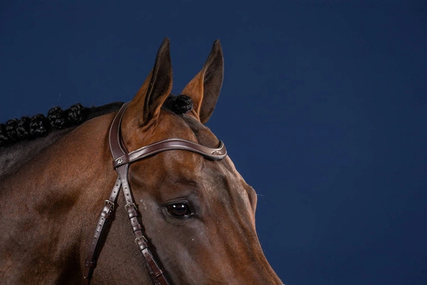 Opadający gładki naczółek Dy'on US Jumping - brązowy