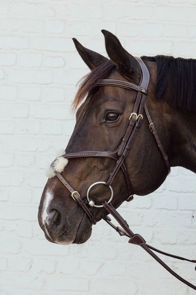 Skórzany pleciony nachrapnik meksykański Dy'on D Collection