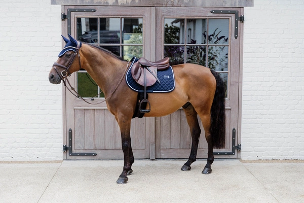 Kentucky czaprak Diamond Rope - granatowy