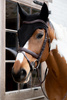 Długie nauszniki Kentucky Fly Veil Long - czarne