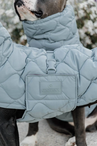 Kentucky derka dla psa Winter Pina - błękitna