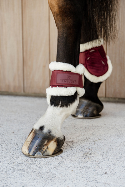 Kentucky Ochraniacze Vegan Sheepskin Young Horse Fetlock Velvet na zadnie nogi - bordowe