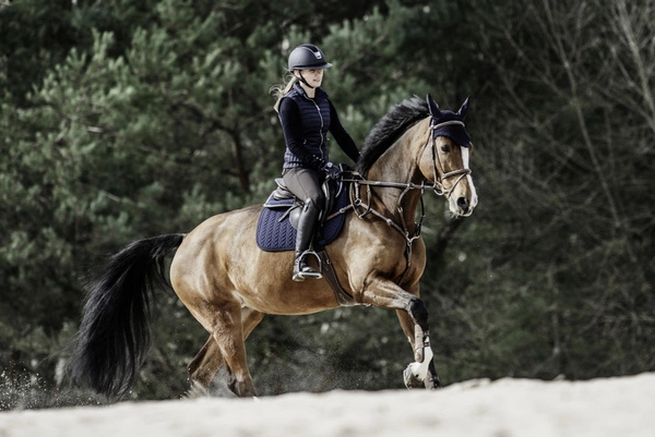 Kentucky czaprak Fishbone - granatowy