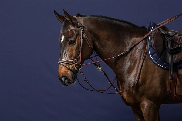 Gumowe wodze do Gogue 1/2" Dy'on Working - brązowe