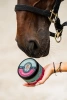Doctor Horse Plasterek – Maść na otarcia 100ml