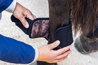 Kentucky ochraniacze na tył Eventing Boots 3D Air Flow Skin Friend Short - czarne