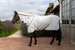 Derka Kentucky Sweet Itch Fly & Summer Sheet Comfort