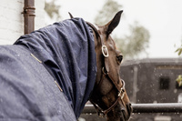 Kentucky kaptur Waterproof Horse Scarf Classic 0 g  - granat 