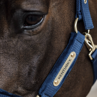 Kentucky kantar anatomiczny Velvet - granatowy