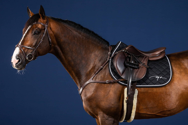 Anatomiczny skórzany napierśnik Dy'on US Jumping - czarny