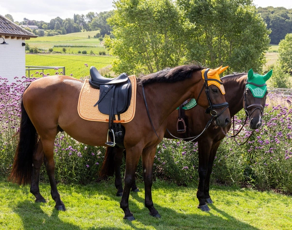 Nauszniki Kentucky Wellington Velvet Printing - pomarańczowe