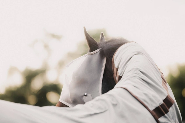 Kentucky maska na owady bez uszu - beżowa