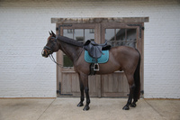 Podkładka Kentucky Sheepskin Half Pad Absorb 10mm - czarna