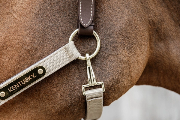 Kentucky kantar Nylon Anatomic - beżowy