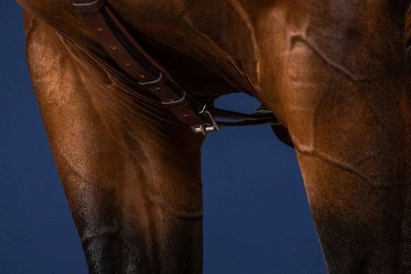 Skórzany napierśnik Dy'on Long Bridge Breastplate US Jumping - brązowy
