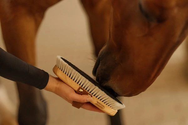 Szczotka nabłyszczająca do sierści - Kentucky Grooming Deluxe