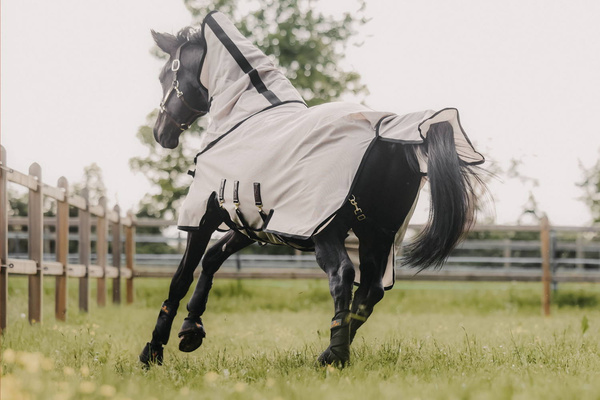 Derka Kentucky Mesh Fly Rug