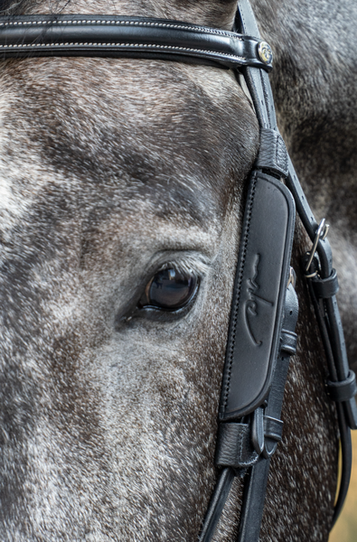Dy'on Blinkers