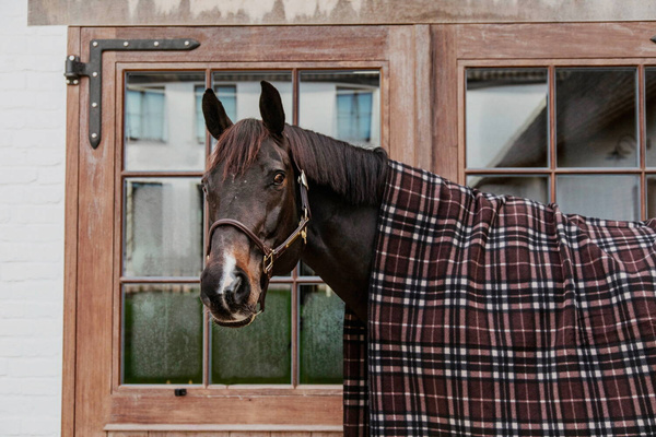 Osuszająca derka Kentucky Heavy Fleece Rug Square Stripes 210x200 cm