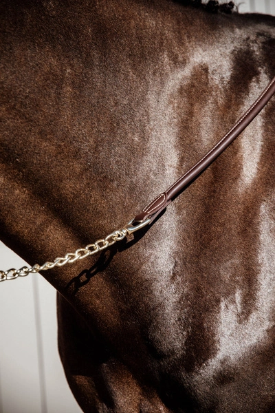 Kentucky skórzany uwiąz z łańcuszkiem - brązowy