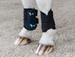 Kentucky ochraniacze Turnout Boots Sammy Horse Design