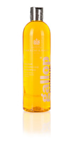 Carr & Day & Martin COLOUR Szampon dla kasztanów 500 ml