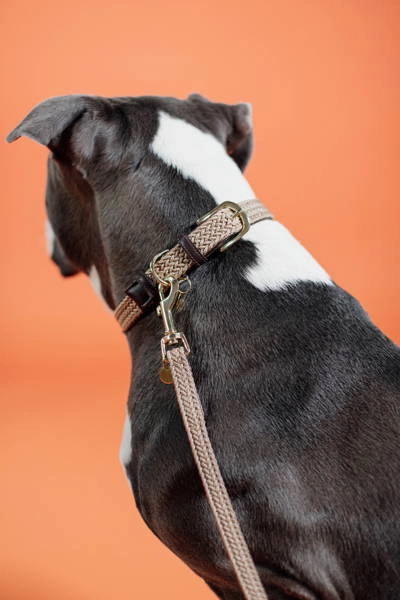 Pleciona smycz Kentucky Nylon 1,2m - beżowa