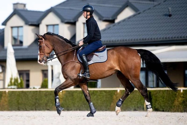 Czaprak Winderen NanoSilver Line - szary