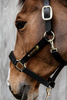 Kentucky kantar Nylon Anatomic - czarny