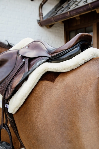 Kentucky czaprak Hunter - biały