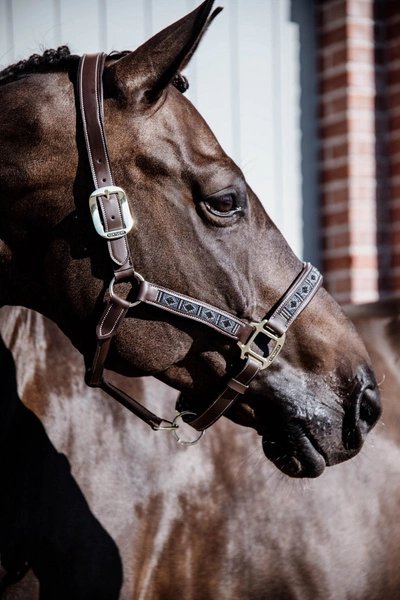 Kentucky kantar Pearls - srebrny