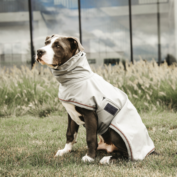 Kentucky derka dla psa Raincoat
