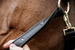 Kentucky kantar Nylon Anatomic - beżowy