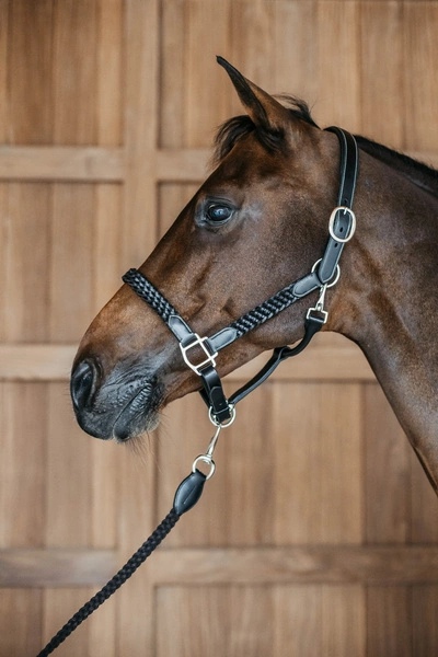 Dy'on kantar Plaited - czarny