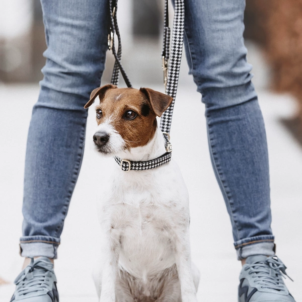 Smycz Kentucky Pied-de-Poule 2m - czarna