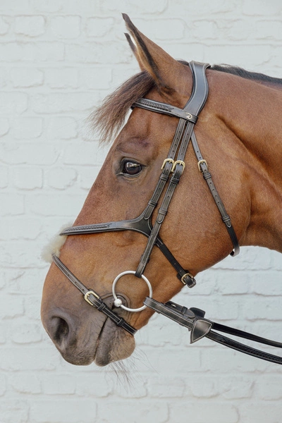 Skórzany pleciony nachrapnik meksykański Dy'on D Collection - czarny