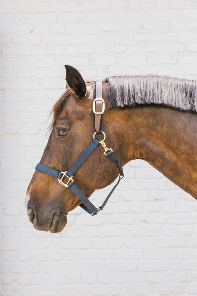 Kentucky kantar Nylon Halter Breakaway - granatowy