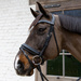 Velari wędzidło Snaffle Flex Loose Ring Hard 20 mm