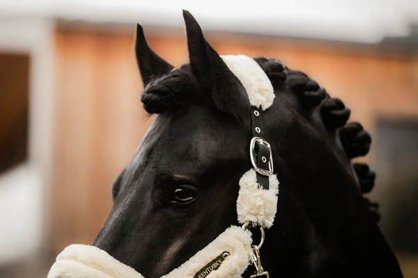 Kentucky kantar obszyty futrem - naturalny