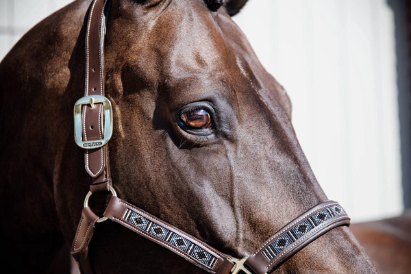 Kentucky kantar Pearls - srebrny