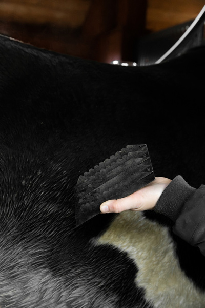 Metalowe zgrzebło - Kentucky Grooming Deluxe