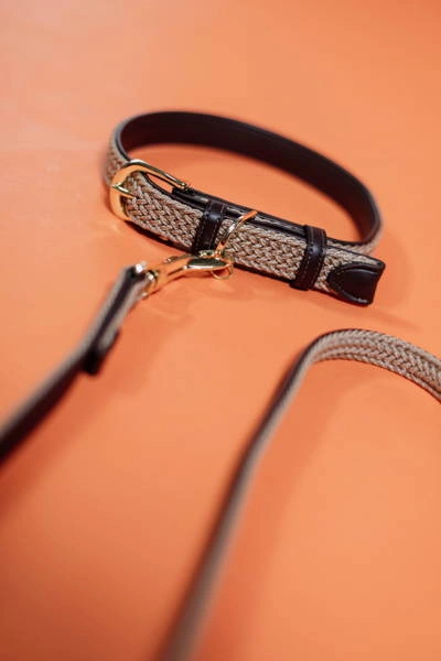 Pleciona obroża dla psa Kentucky - beżowa