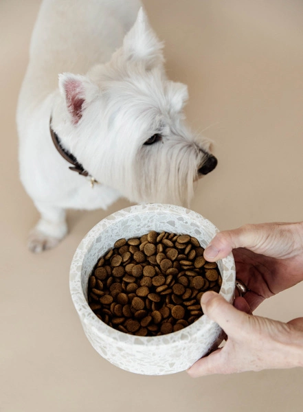 Miska Terrazzo Stone Kentucky - beżowa