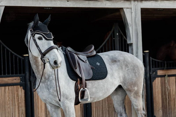 Kentucky nauszniki Wellington BIG Stone & Pearl - czarne